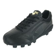 사사키포인트화