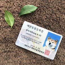 반려동물즉석카드발급기