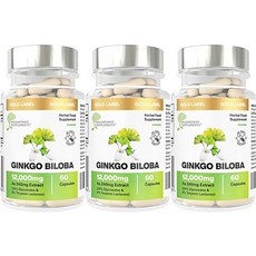 브레인파워빌더스