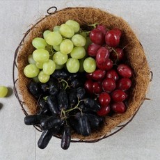 블랙사파이어포도 크림슨포도 오톰 크리스피 애플 청포도 수입포도, 1개, 블랙사파이어포도 700g