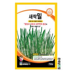 밀새싹키우기