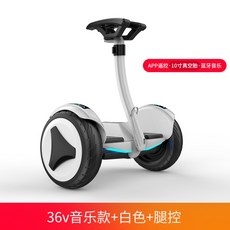 원몽드 전동휠 호버보드 나인봇, C, 36V