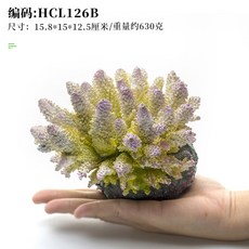 SKG 대형 인조 산호 패키지 어항장식 수초 장식용 장식품 어항용품, 어항코랄-HCL126B, 1개