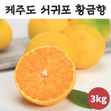 황금향 산지직송 제주고급과일 황금향 제주도황금향 제주황금향 3kg 과육이 얇고 높은 수분 당도