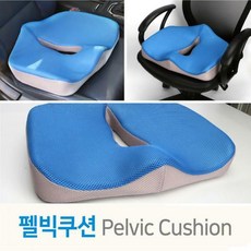 펠빅쿠션
