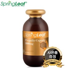 스프링리프 프로폴리스 2000mg 365캡슐 + 프로폴리스 치약 1개, 365정