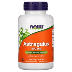Astragalus 500mg 100 베지캡, 100정, 1개