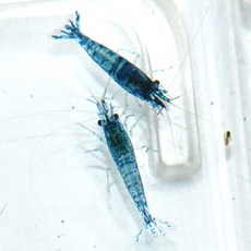 a9f4dfceefb29392ea837112f2fe15f89169d5cb895603bc526d72be60f8.jpg