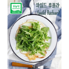 와일드루꼴라500g