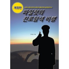 비행정비사책