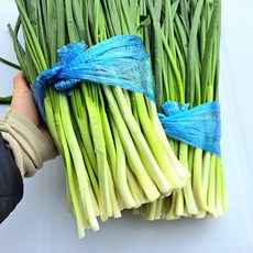 해풍맞아 맛있는 쪽파 1단, 깐쪽파(800g), 1개