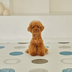 고려의학임상화학분철