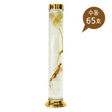 용천자연유리 담금주병 수동65호, 1.7L, 12개