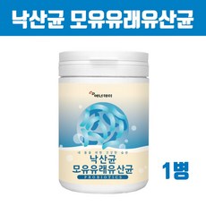 파라미