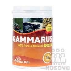 건조새우 영양간식, 30g, 1개