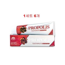 [호주정품] 6 X 닥터 존 프로폴리스 치약 110g