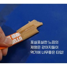 반려견 강아지 장건강 페타질 관절 단백질 산책 영양간식, 20개