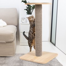  피카노리 원목 기둥형 폴 스크래쳐 브라운 PECA8206BR, 1개 