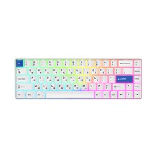Teamwolf Raven 68 HE 8K RT 자석축 게이밍 키보드 화이트 브리즈축V2, 마그네틱축(자석축)