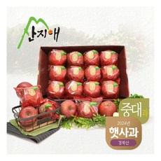 [산지애] [2024햇사과] 씻어나온 꿀사과 3kg 1box (중대과), 상세 설명 참조