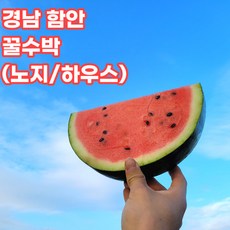 양구두레박수박