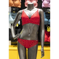 원더브라노와이어세트