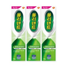 폴리덴트 의치 부착재(민트향)x3개, 3개입, 3개