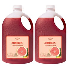 서울팩토리 자몽에이드 1.5L 2개세트, 2개