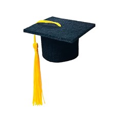 미니학사모 졸업모자 어린이집 대학교 졸업식 선물 장식 답례품 10개 옐로우 상품 이미지