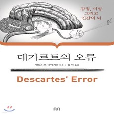 데카르트의오류