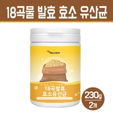 다이어트의정석