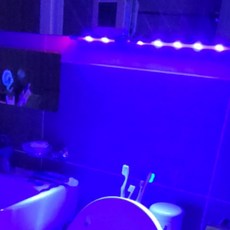 해그루샤인어스