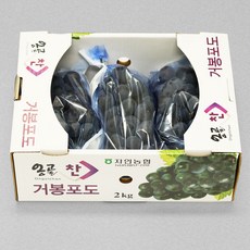 [산지에서바로] 당도선별 거봉 포도 2kg, 1개