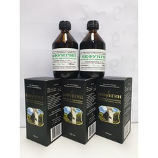 3병 러시아 차가버섯 원액차가버섯엑기스 100ml* 3병, 100ml, 3