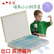 현미경세균표본