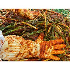 정만농수산_30년전통 국내산 전라도 여수 돌산읍 파김치 1kg, 1개