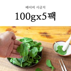국내산 어린 베이비 시금치 1kg, 베이비 시금치 500g