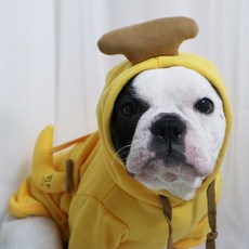 강아지바나나빵