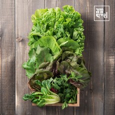 용천쌈채소