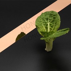 띠벽지아기