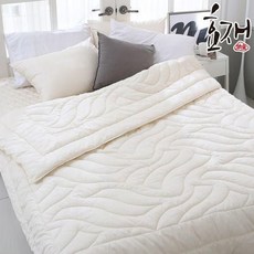 효재광목이불