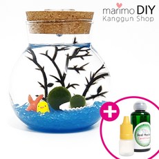 LED어항 350ml세트-마리모 1cm 유리자갈 블루 diy 키트