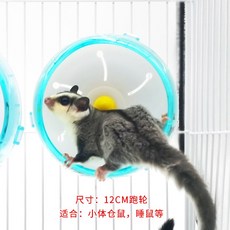 ddd2f53d972efd6a754dcf69658da95581e2b58f0329dd02371289c3c624.jpg
