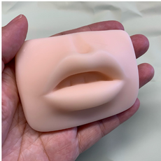 실리콘입술모형