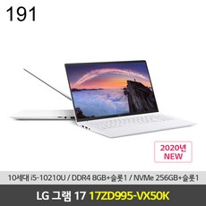 LG 17 RAM 8GB NVMe 256GB추가Windows10HomeDSP설치, 1
