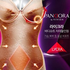 신영와코루치마올인원