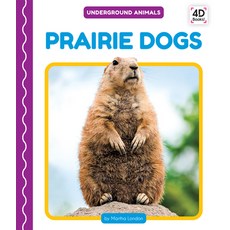 Prairie Dogs Library Binding, Pop!, English, 9781532167645