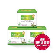 [정품] 명품화이버슬림 120g(3g*40포) * 3케이스 / 차전자피 식이섬유 / 가르시니아캄보지아 추출물