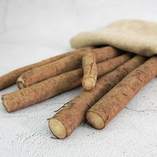 더조은 국내산 생 우엉 알뜰반찬용 굵은것 2kg, 1개