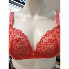 비비안소노르골지